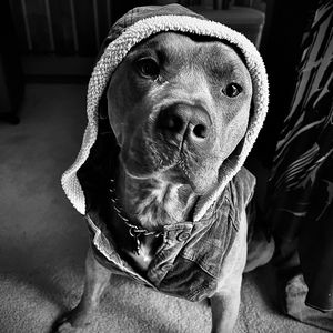 Meet your Posher, James